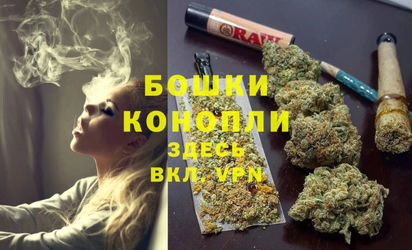 тгк Белокуриха