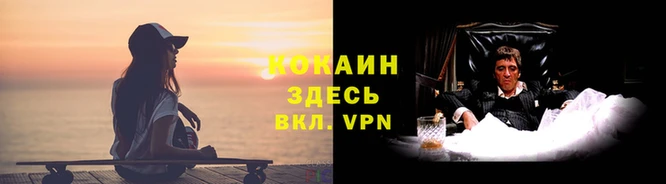 гашик Беломорск