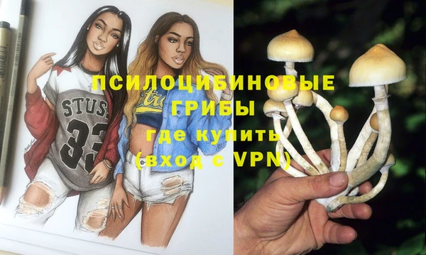 тгк Белокуриха