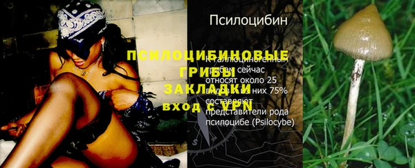 гашик Беломорск