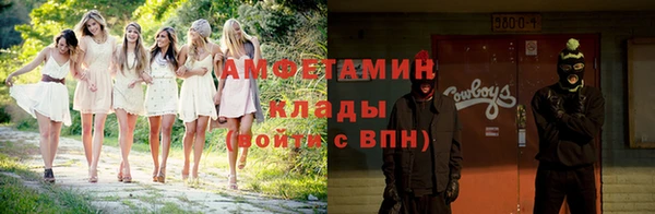индика Богородск
