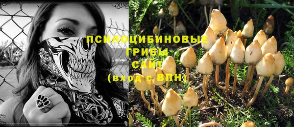 прущий лед Дмитриев