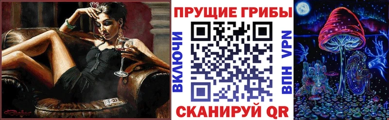 Псилоцибиновые грибы Psilocybe продажа наркотиков Могоча